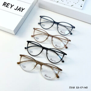 Gọng kính REY JAY 7318