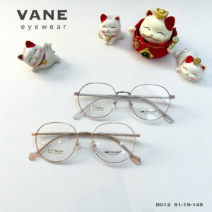 Gọng kính VANE D012